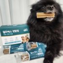 신진덴탈 이미지