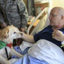 유선농장 이미지