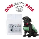 뽀송뽀송 이미지