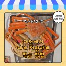 킹마트축산 - 3415 | 대전노은수산시장 해천수산 대게 가격 농어회 포장 후기