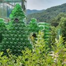 노구사당화장실 이미지