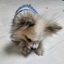 꽁꽁냠냠 - 용인시 수지구 이현로 115 | 꽁꽁냠냠