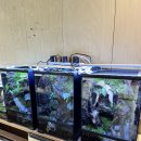 애니멀리움 이미지