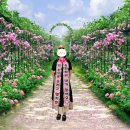 조암우체국 | 아이디어스 화이트핸드 인간화환 결혼식 축하 선물