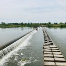 금수강산환경 이미지