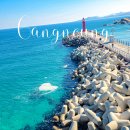 강릉농협 정동지점 | 강릉 가볼만한곳 정동 심곡 바다부채길 주차 입장 소요시간 한 번에 정리