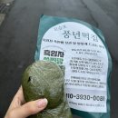 제주 모슬포 풍년떡집 흑임자 쑥찐빵 솔직후기_ 인스타에서 핫한 그 찐빵