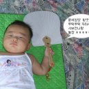 세암 Daum카페