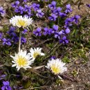 낙조보러가는길 이미지