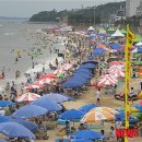 동해-단속-48 이미지