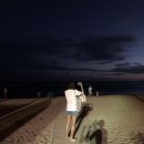 밀드플레 이미지