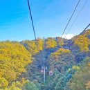 하늘공원(하부) 이미지