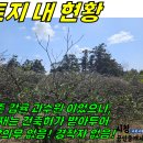 토지2-145[ 대정읍 보성리 영어교육도시 인근 건축허가 받은 토지 매매(328평/과수원/4m 콘크리트 도로) ]#영어교육도시토지, 제 이미지