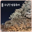 제17회 청주예술제 | 청주 무심천 벚꽃축제 야경 아이랑 저녁 방문 후기 청주예술제 푸드트럭