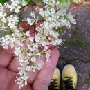 노포동관광안내소 이미지