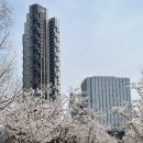 반도1번지공인중개사사무소 | 동탄역 오피스텔 매매 아파트 대체제 힐스테이트 동탄역 센트릭 급매