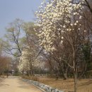 하늘을 품은 사슴 이미지