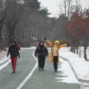 진담다