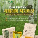 약초아카데미5강 - 성인병에 좋은 약초 | 러시아 차가버섯 분말먹는법 내뚱보균뿌셔뿌셔 부모님선물추천