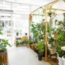 영화꽃화원 이미지