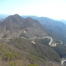 대덕초교 이미지