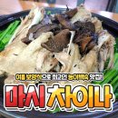 마시차이나 이미지