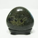 강아지의 하루 이미지