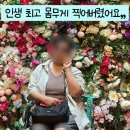 약수한의원 | 약수역한의원 약, 주사도 실패했던 80kg 50대 엄마 마지막 도전(쥬비스성북점)