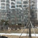 맘스터치 초곡점 이미지