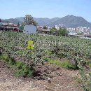 삼천리농장 이미지