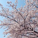 목포칼튼힐호텔 이미지