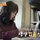 법률사무소도리