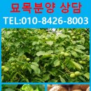 (주)신강개발