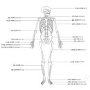 YS휘트니스 2호점 이미지