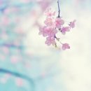 로뎀어린이집 이미지