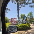 해반천 | 김해 아이랑 해반천 자전거 라이딩 후기 대성동 고분박물관 주차 타고가야 자전거 대여방법