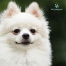 고덕 동물의료센터 이미지