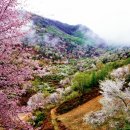 산안2리마을 이미지