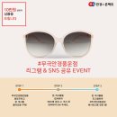 무극안경(풍운점) 이미지