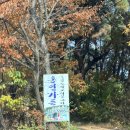 시골옻닭 | [기장철마/홍연가든] 산 속 옻닭 맛집가서 먹고 온 후기 (흑염소까지 총정리)