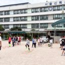 신목초교 이미지