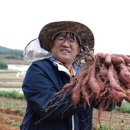 한영만 이미지