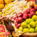 복술농장 | [책리뷰/ 입대 후 75권] 맥두걸 박사의 자연식물식 - 존 맥두걸 / 세상에서 가장 쉬운 다이어트