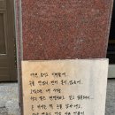 동네술집 이미지