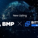 비엠피(BMP) 이미지