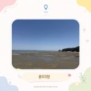 조이할인마트 | 서해 / 충청남도 당진 서산 용무치항 바지락잡기 체험