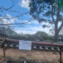 관내 우체통 | 순천 여행코스 추천 낙안읍성 입장료 내부 숙박시설