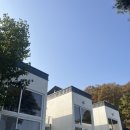 보나의언덕 | 인천 강화도 숙소찐추천 보나의언덕 독채펜션 가족여행펜션