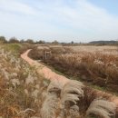 생태습지 이미지