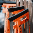 여름탐방(가족) 이미지